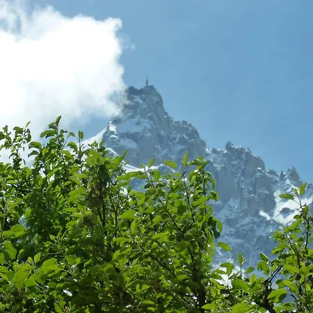 Готель Aiguille Du Midi - & Restaurant 3*