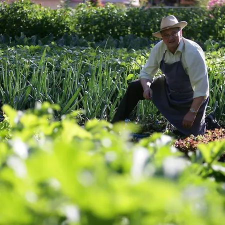 Aiguille Du Midi - & Restaurant 霞慕尼