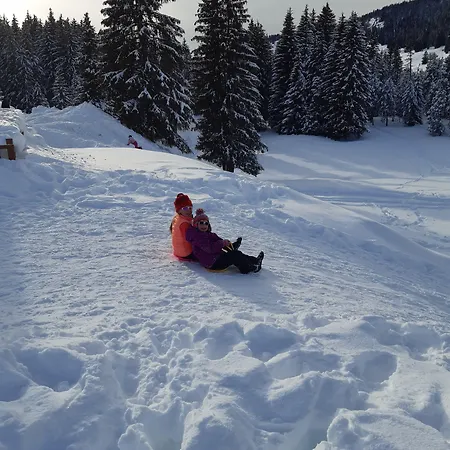 Aiguille Du Midi - & Restaurant 3*