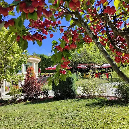 Aiguille Du Midi - & Restaurant 3*