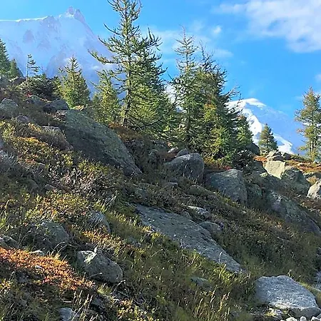 Hotel Aiguille Du Midi - & Restaurant Chamonix Mont Blanc