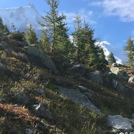 호텔 Aiguille Du Midi - & Restaurant 3*