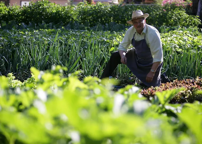 Aiguille Du Midi - & Restaurant 霞慕尼