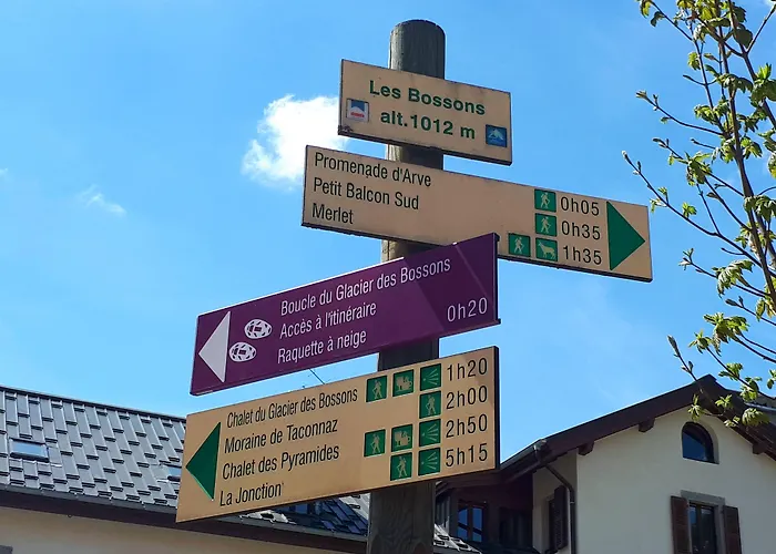 酒店 Aiguille Du Midi - & Restaurant 霞慕尼