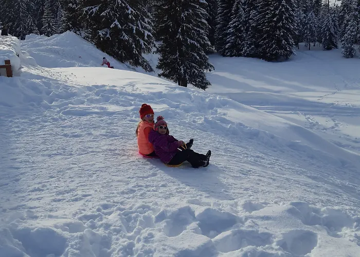 Aiguille Du Midi - & Restaurant 3*