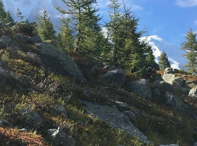 Ξενοδοχείο Aiguille Du Midi - & Restaurant 3*